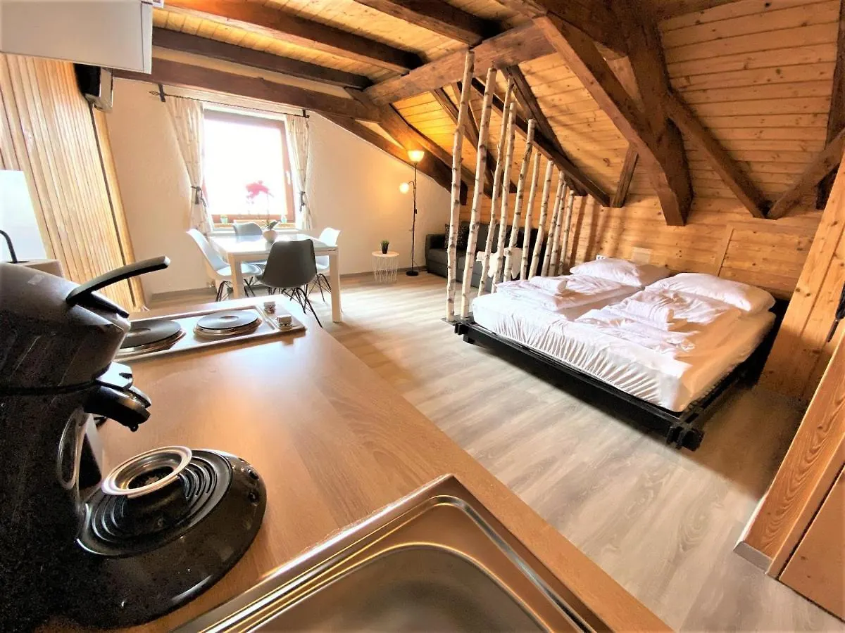 TOP-URIGES Apartment mitten im Bayerwald +NETFLIX Perlesreut