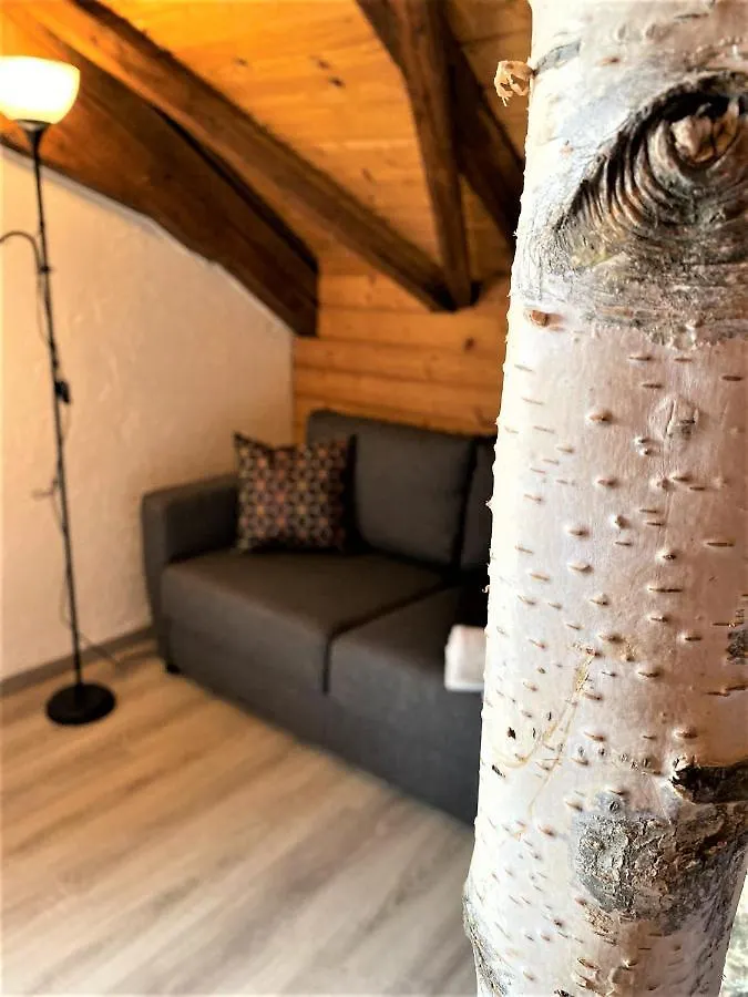 Top-Uriges Apartment Mitten Im Bayerwald +Netflix Perlesreut 0*,  Germany