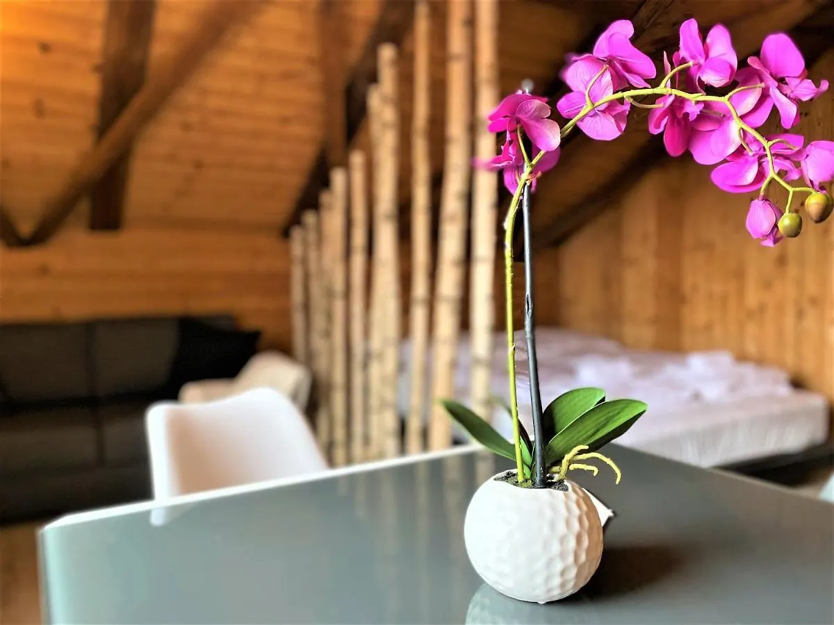 Top-Uriges Apartment Mitten Im Bayerwald +Netflix Perlesreut 0*,  Germany
