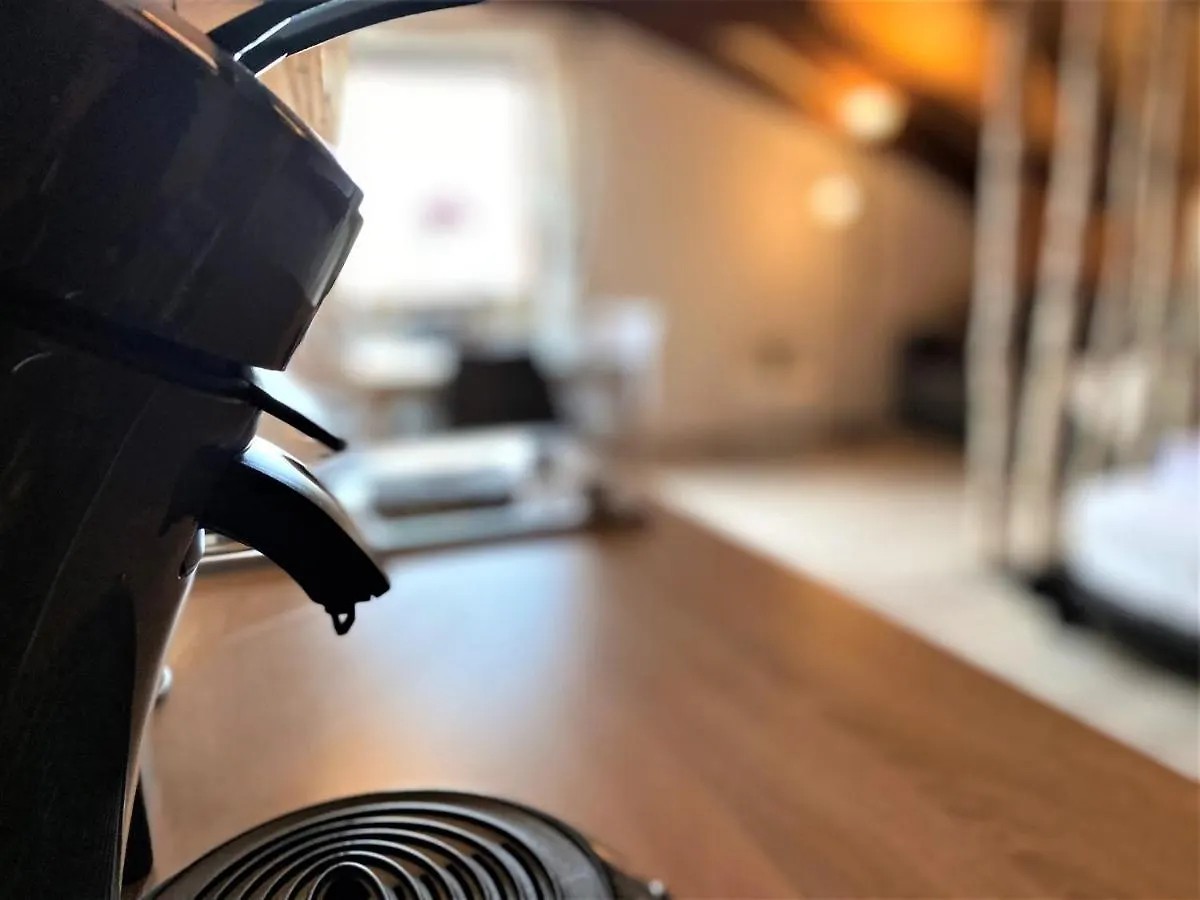 Top-Uriges Apartment Mitten Im Bayerwald +Netflix Perlesreut