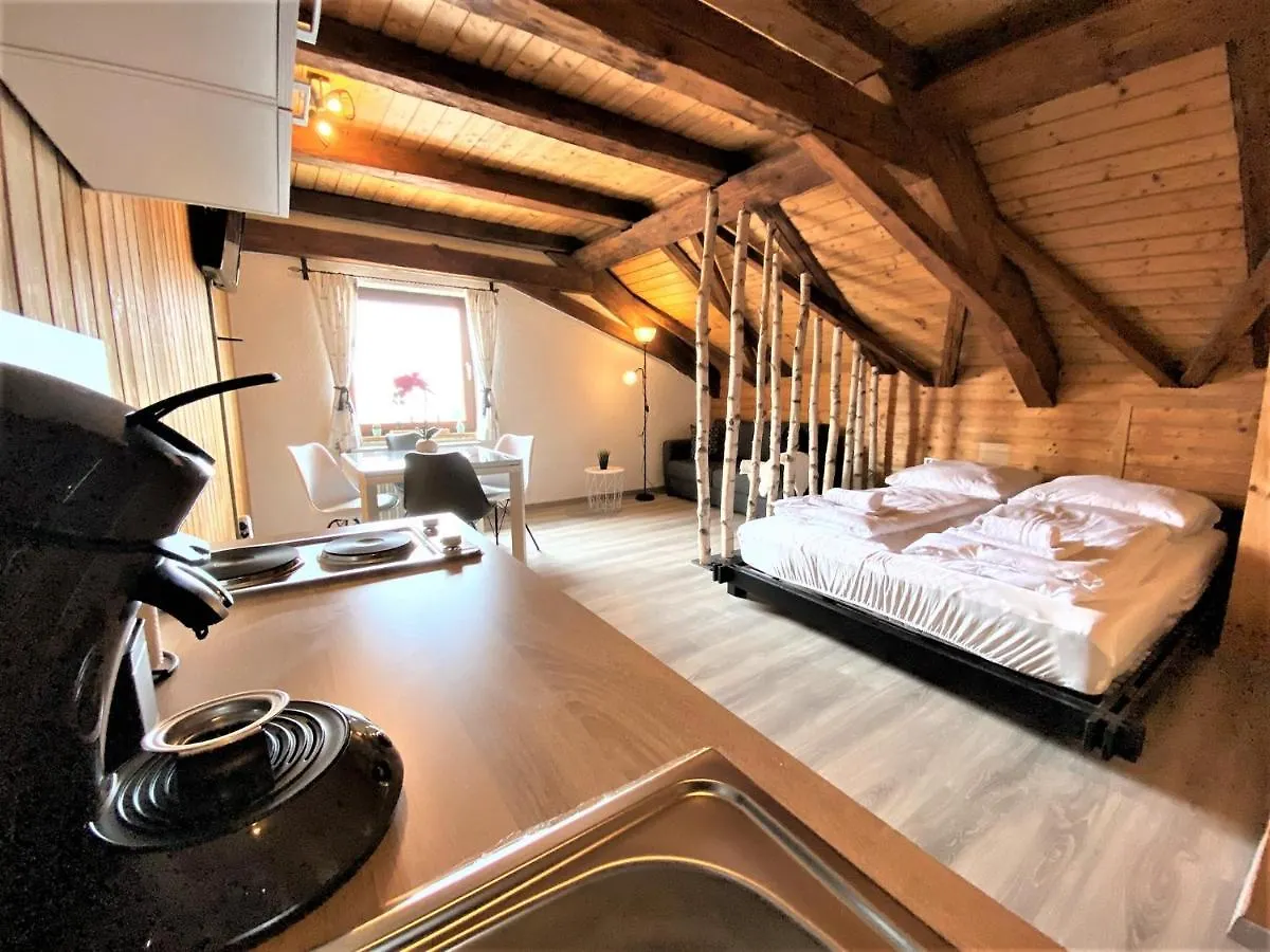 Top-Uriges Apartment Mitten Im Bayerwald +Netflix Perlesreut Germany