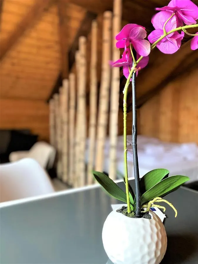 Top-Uriges Apartment Mitten Im Bayerwald +Netflix Perlesreut Germany